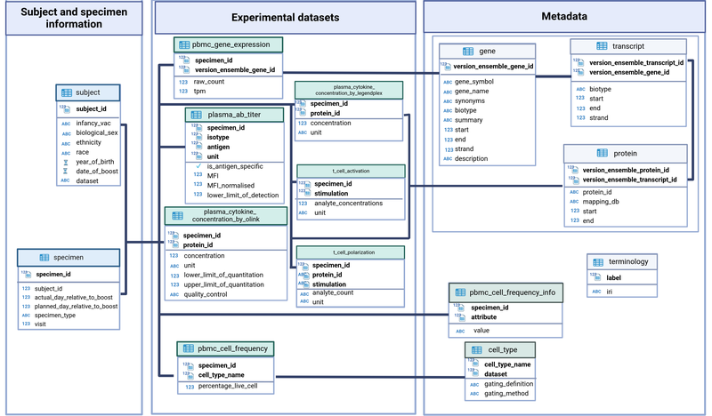 2024 CMI-PB Database schema.png