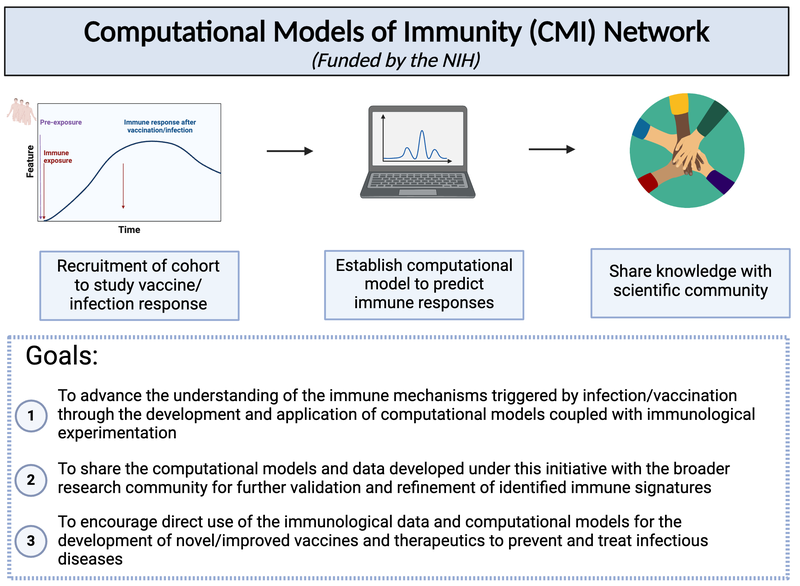 NIH funded project graphic (1).png